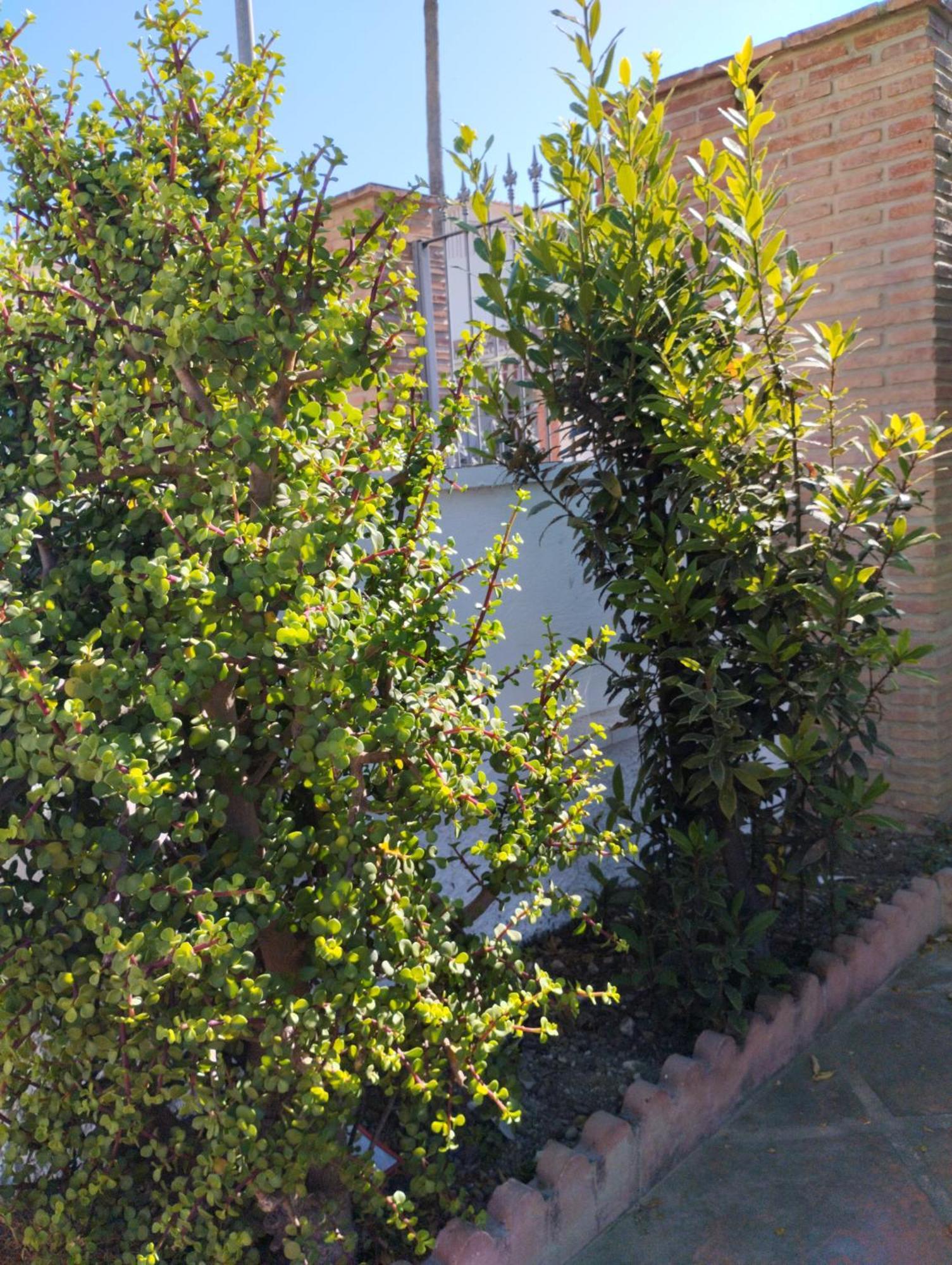 Villa Jade Beach La Cala Del Moral Exterior photo